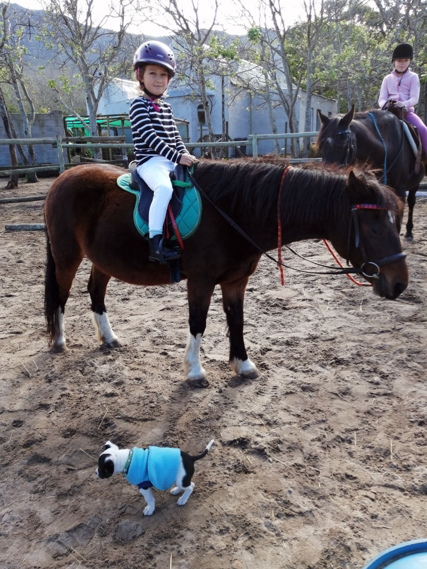 Jenny's Yard Riders