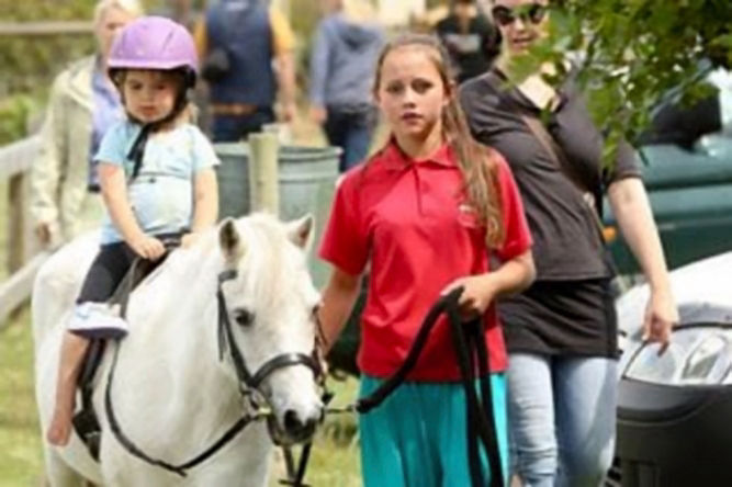 Jenny's Yard Riders