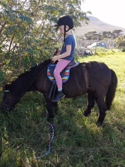 Jenny's Yard Riders