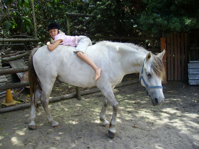 Jenny's Yard Riders
